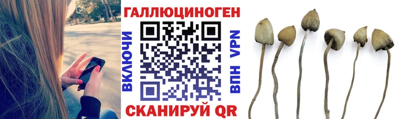 где найти наркотики  Яровое  Псилоцибиновые грибы Psilocybe 